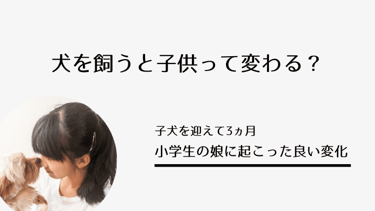 子供って犬を飼うと変わるもの 犬を飼い始めて３ヵ月で感じる小学生の娘の良い変化 マメクラニスタ