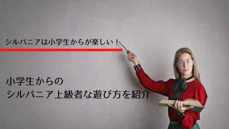 シルバニアファミリーは何歳まで遊べる ごっこ遊び以外の遊び方を知ることが長く遊べるコツです マメクラニスタ